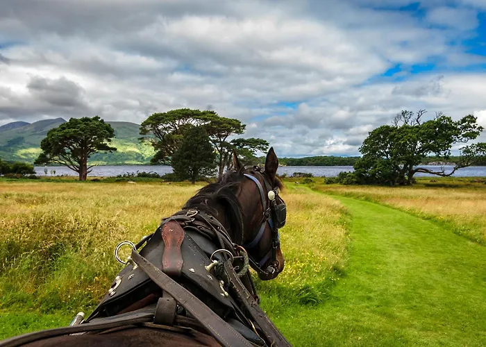 Hotel Hotel Killarney